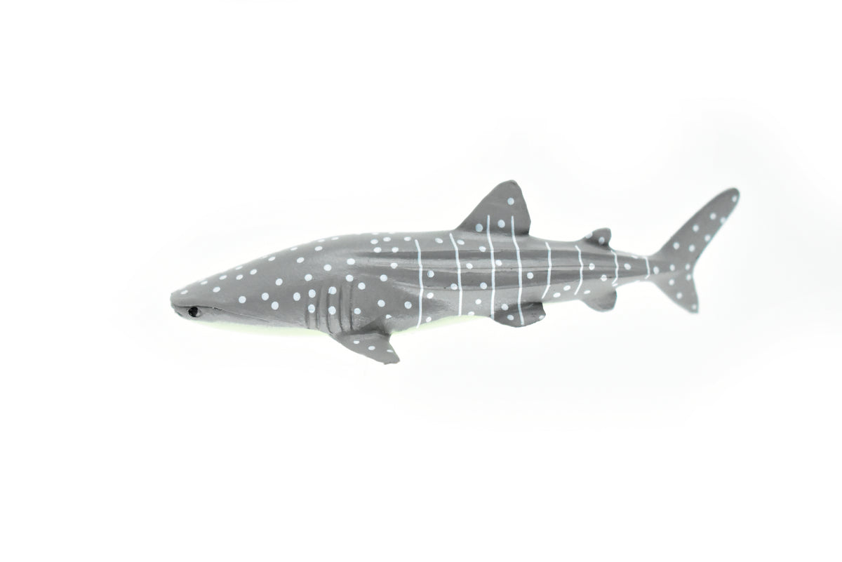 Whale Shark, Curved, Very Nice Plastic Replica    3"    -     F1014 B118