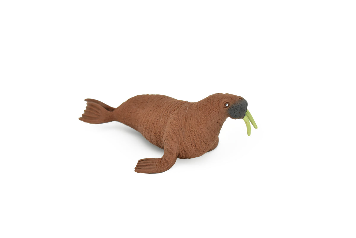 Walrus, Arctic marine mammal, Very Nice Plastic Replica, Hand Painted, Realistic, Soft Rubber, Saltwater, Educational,  Figure, Lifelike, Diorama Model, Replica, Toy, Gift,  5 Inches    CWG89 B239