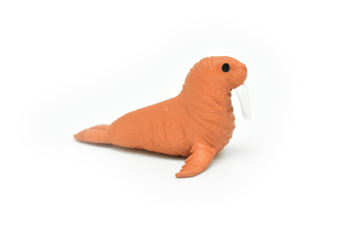 Walrus, Very Nice Plastic Replica    3"     F1114 B203