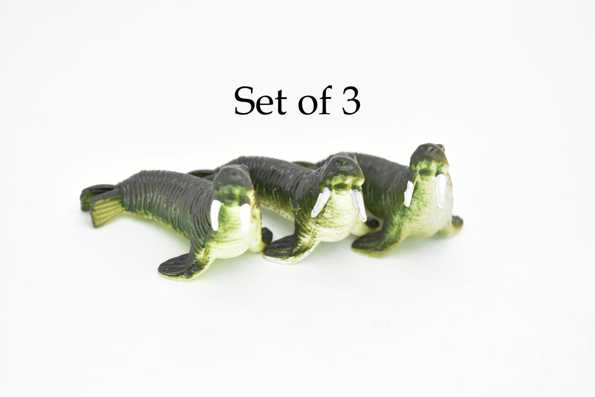 Walrus, Very Nice Plastic Replica    2"  -   F220 B36