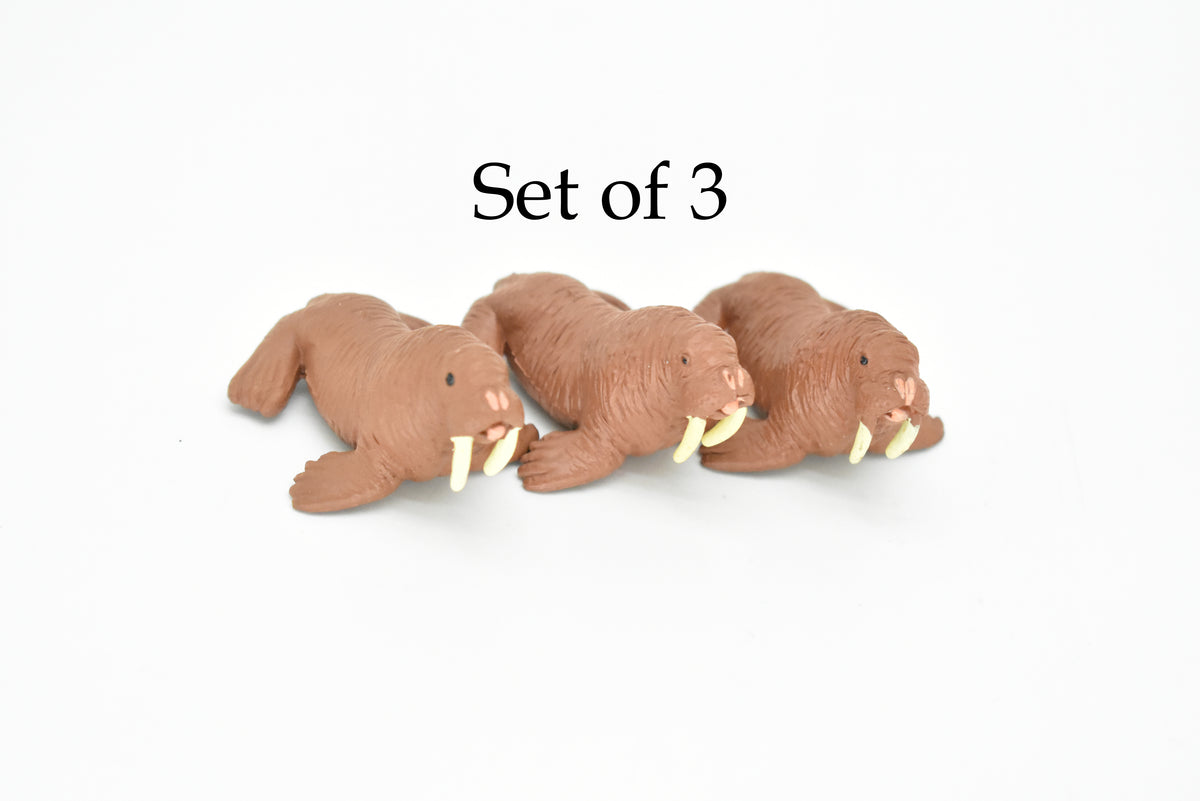 Walrus, Tusked sea cow, High Quality, Plastic, Hand Painted, Realistic, Figure, Model, Replica, Toy, Kids, Educational, Gift,     1 3/4"  F3503 B67