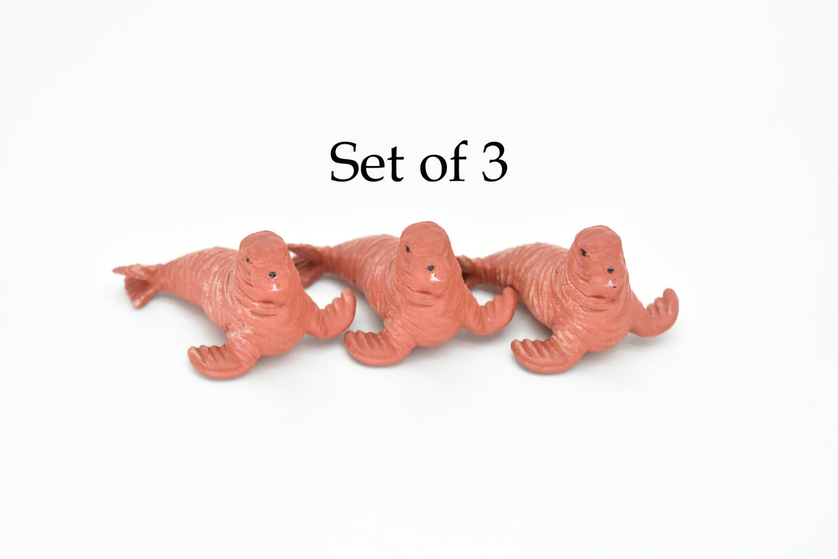 Walrus, Pup, Baby, Pinnipeds, Very Nice Plastic Replica, Hand Painted, Realistic, Saltwater, Educational,  Diorama Model, Replica, Toy, Gift,  2 Inches.   F7038 B67