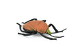 Beetle, Japanese, brown Very Nice Plastic Replica    5"   -    F2066 B133