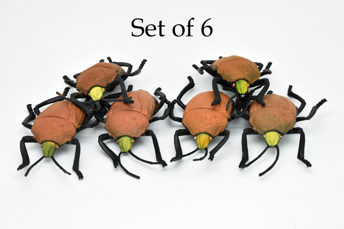 Beetle, Japanese, brown Very Nice Plastic Replica    5"   -    F2066 B133