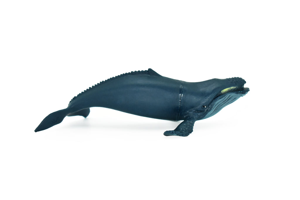 Humpback Whale, Hand Painted, Realistic, Soft Rubber, Saltwater, Educational,  Figure, Lifelike, Diorama Model, Figurine, Replica, Toy, Gift,  6 Inches   CWG91 B239
