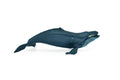 Humpback Whale, Hand Painted, Realistic, Soft Rubber, Saltwater, Educational,  Figure, Lifelike, Diorama Model, Figurine, Replica, Toy, Gift,  6 Inches   CWG91 B239