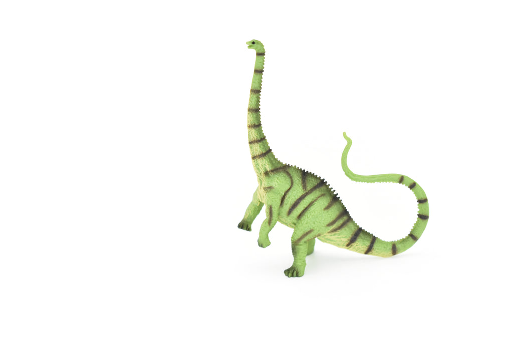 Diplodocus Dinosaur, Museum Quality, Animal, Educational, Realistic Hand Painted, Figure, Lifelike Model, Vintage Replica, Toy, Gift,    3 1/2 Inches.    F8113 B117
