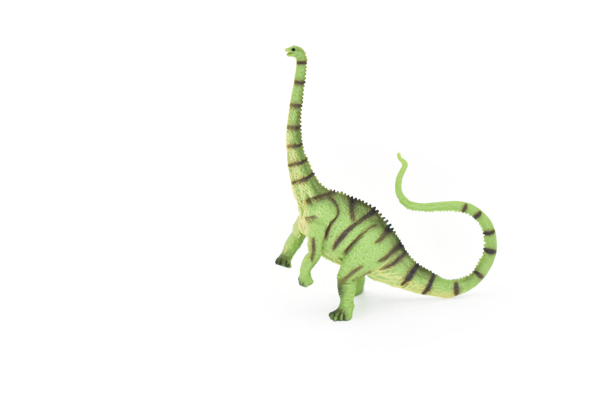Diplodocus Dinosaur, Museum Quality, Animal, Educational, Realistic Hand Painted, Figure, Lifelike Model, Vintage Replica, Toy, Gift,    3 1/2 Inches.    F8113 B117