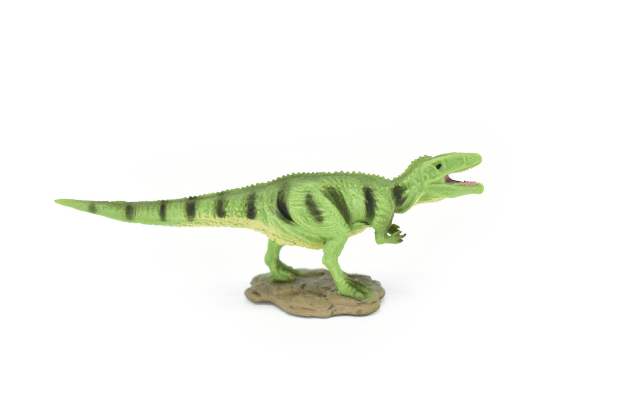 Gigantosaurus Dinosaur, Museum Quality, Animal, Educational, Realistic Hand Painted, Figure, Lifelike Model, Vintage Replica, Toy, Gift,    4 Inches.  F8102 B117