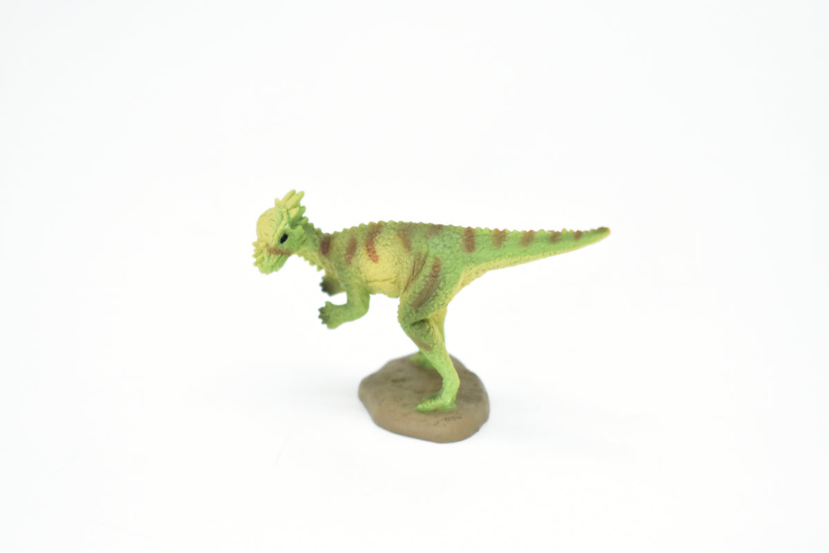 Pachycephalosaurus Dinosaur, Museum Quality, Animal, Educational, Realistic Hand Painted, Figure, Lifelike Model, Vintage Replica, Toy, Gift,    2 Inches.     F8120 B117