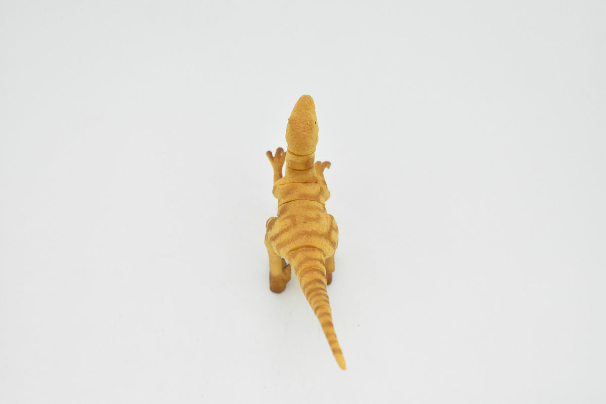 Deinonychus Dinosaur, 3D Puzzle Very Nice Plastic Replica   4 1/2" long - F3033 B333