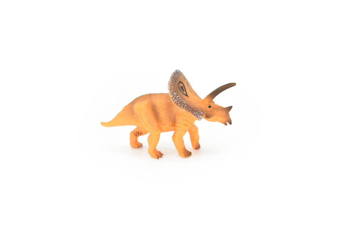Torosaurus Dinosaur, Museum Quality, Animal, Educational, Realistic Hand Painted, Figure, Lifelike Model, Vintage Replica, Toy, Gift,    2 3/4 Inches.    F8101 B117