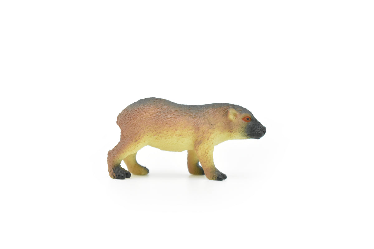 Capybara, Greater capybara, Rodent, Very Nice Plastic Animal, Hand Painted, Educational, Figure, Lifelike, Diorama Model, Replica, Toy, Kids, Gift,   2 1/2 Inches.  CWG104 B237