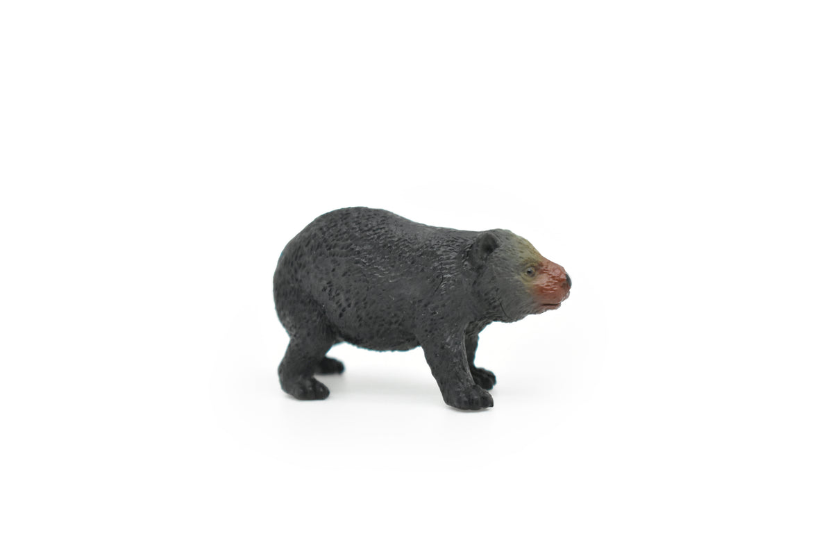 Wombat, Marsupials, Australia's unique Animal, Very Nice Plastic Toy, Figure, Educational, Lifelike, Diorama Model, Replica, Toy, Kids, Gift,   2 Inches     CWG106 B237