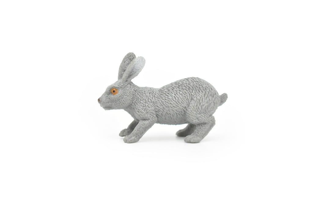 Rabbit, Hare, Leporidae, Bunny, Very Nice Hard Rubber, Realistic, Very Nice Design, Animal, Educational, Diorama Model, Lifelike, Toy, Gift,    2 Inches.    CWG111 B237
