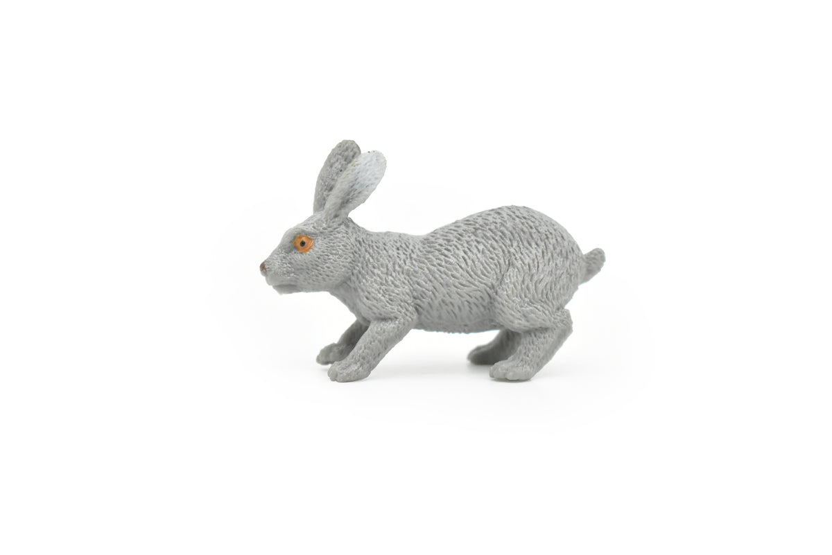Rabbit, Hare, Leporidae, Bunny, Very Nice Hard Rubber, Realistic, Very Nice Design, Animal, Educational, Diorama Model, Lifelike, Toy, Gift,    2 Inches.    CWG111 B237