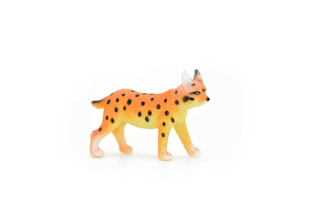 Bobcat, Lynx rufus, North America Wildcat, Very Nice Plastic Animal, Hand Painted, Educational, Realistic, Lifelike, Diorama Model, Toy, Kids, Gift,  2 Inches.     CWG112 B237