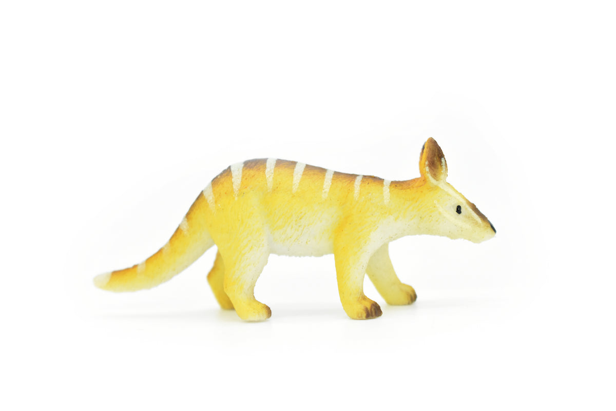Numbat, Walpurti, Australian marsupial, Hand Painted, Very Nice Plastic Design, Animal Figure, Educational, Lifelike, Diorama Model, Toy, Kids, Gift,  3 Inches.   CWG116 B237