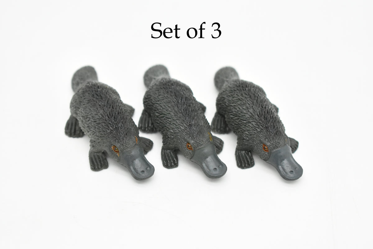 Platypus, Duck Billed platypus, Australian, Very Nice Plastic Design, Animal Figure, Educational, Figure, Lifelike, Diorama Model, Replica, Toy, Kids, Gift,   2 1/2 Inches.     CWG118 B238