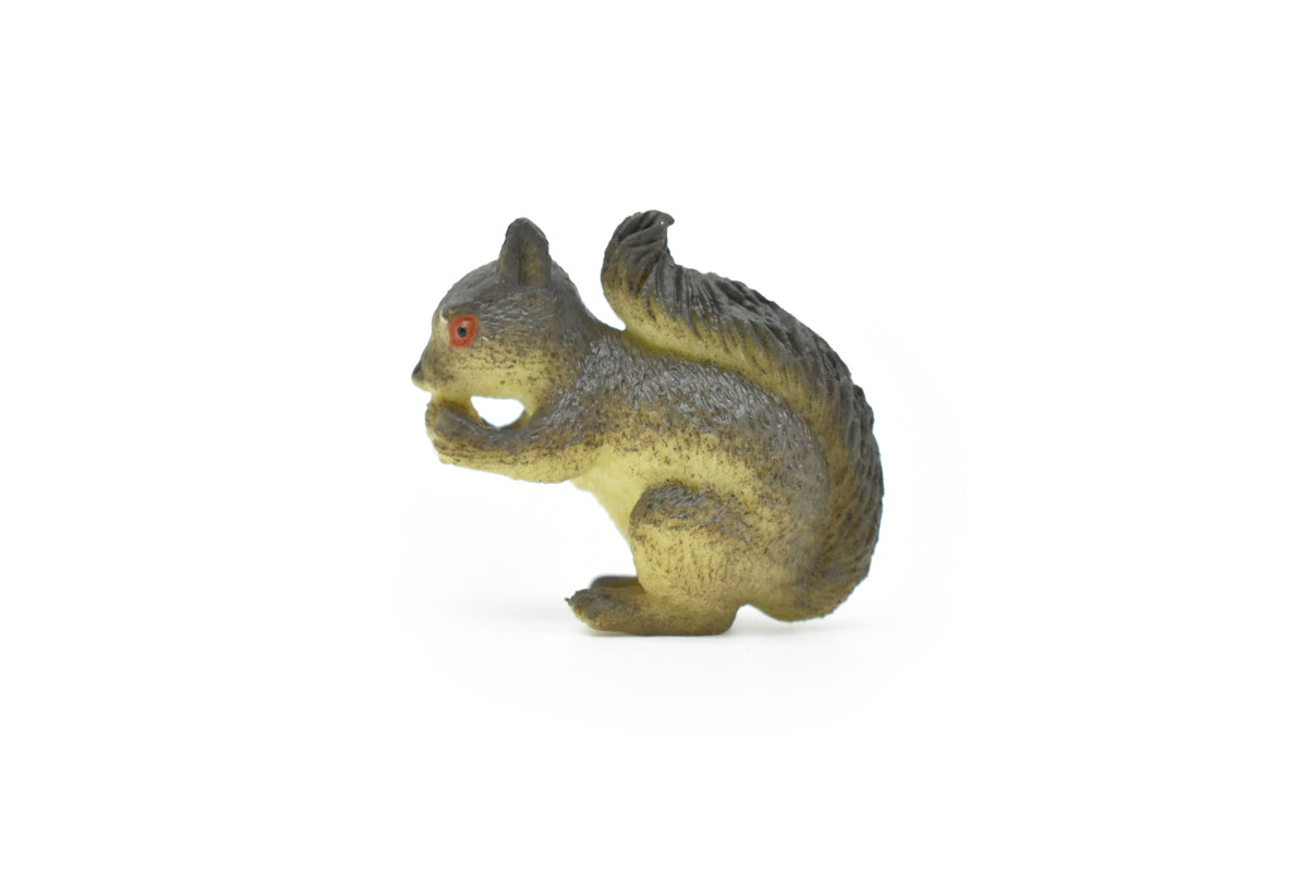 Squirrel, Tree, Ground, Sciuridae, Hand Painted, High Quality, Hard Rubber, Realistic, Very Nice Design, Educational, Diorama Model, Lifelike, Toy, Gift,  1 1/2 Inches.   CWG125 B238