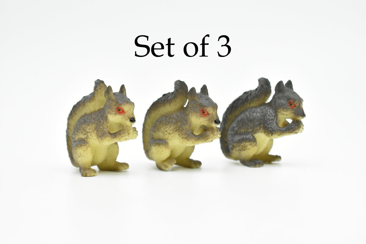 Squirrel, Tree, Ground, Sciuridae, Hand Painted, High Quality, Hard Rubber, Realistic, Very Nice Design, Educational, Diorama Model, Lifelike, Toy, Gift,  1 1/2 Inches.   CWG125 B238