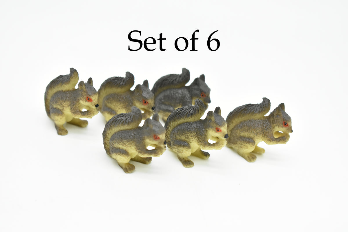 Squirrel, Tree, Ground, Sciuridae, Hand Painted, High Quality, Hard Rubber, Realistic, Very Nice Design, Educational, Diorama Model, Lifelike, Toy, Gift,  1 1/2 Inches.   CWG125 B238