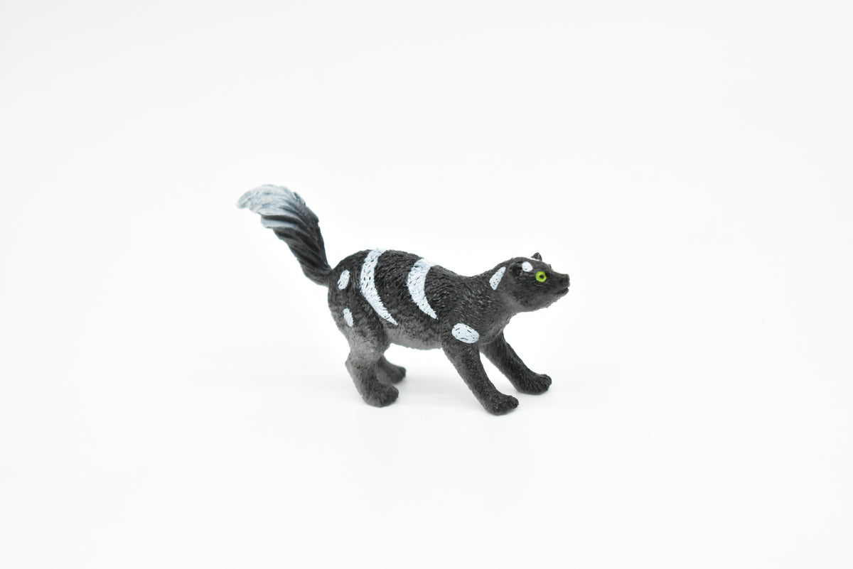 Skunk, Polecat, Civet cat, Striped skunk, Hand Painted, High Quality, Hard Rubber, Realistic, Very Nice Design, Educational, Diorama Model, Lifelike, Toy, Gift,  2 1/2 Inches.     CWG126 B238