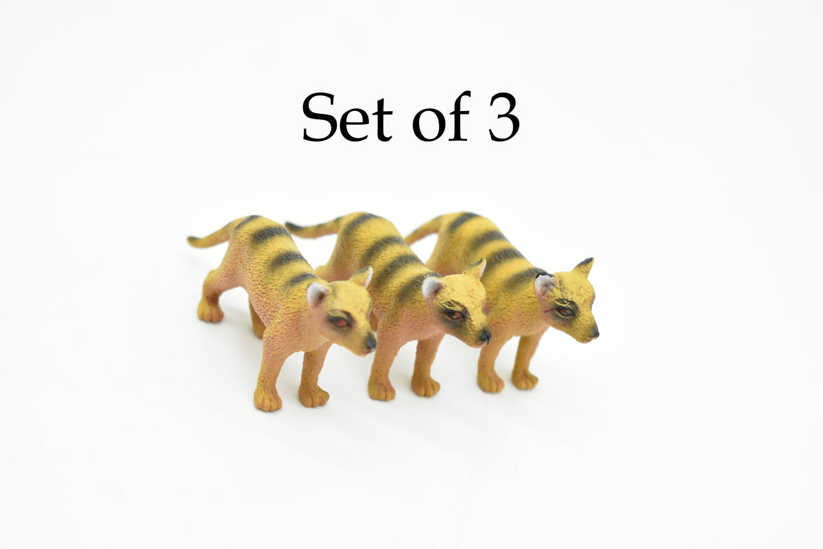 Tasmanian Tiger, Thylacine, Australia's unique Animal, Very Nice Plastic Toy, Figure, Educational, Figure, Lifelike, Diorama Model, Replica, Toy, Kids, Gift,   3 Inches    CWG128 B238