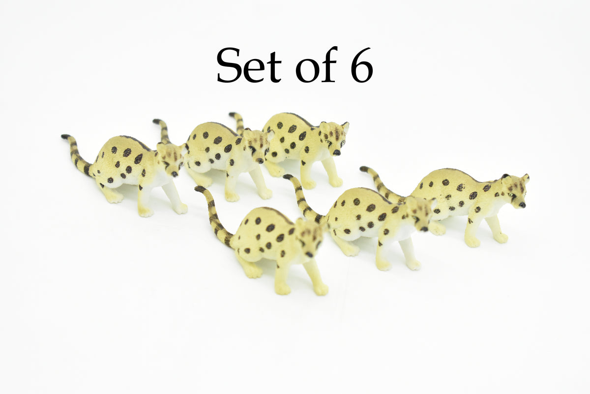 Malabar large-spotted civet, Civet Cat, Asia, Very Nice Plastic Animal, Hand Painted, Educational, Realistic, Lifelike, Diorama Model, Toy, Kids, Gift,  3 Inches.     CWG129 B238