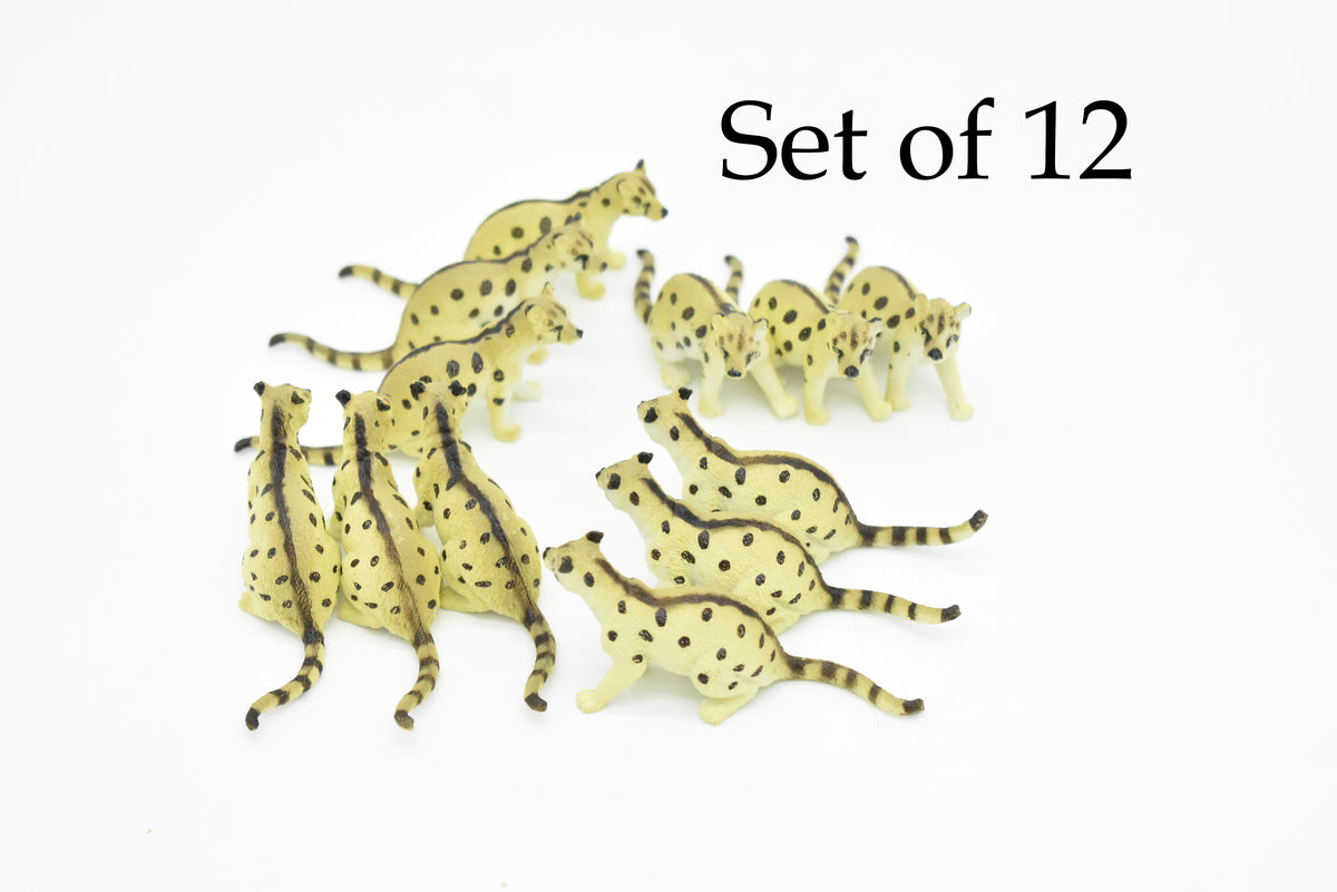 Malabar large-spotted civet, Civet Cat, Asia, Very Nice Plastic Animal, Hand Painted, Educational, Realistic, Lifelike, Diorama Model, Toy, Kids, Gift,  3 Inches.     CWG129 B238