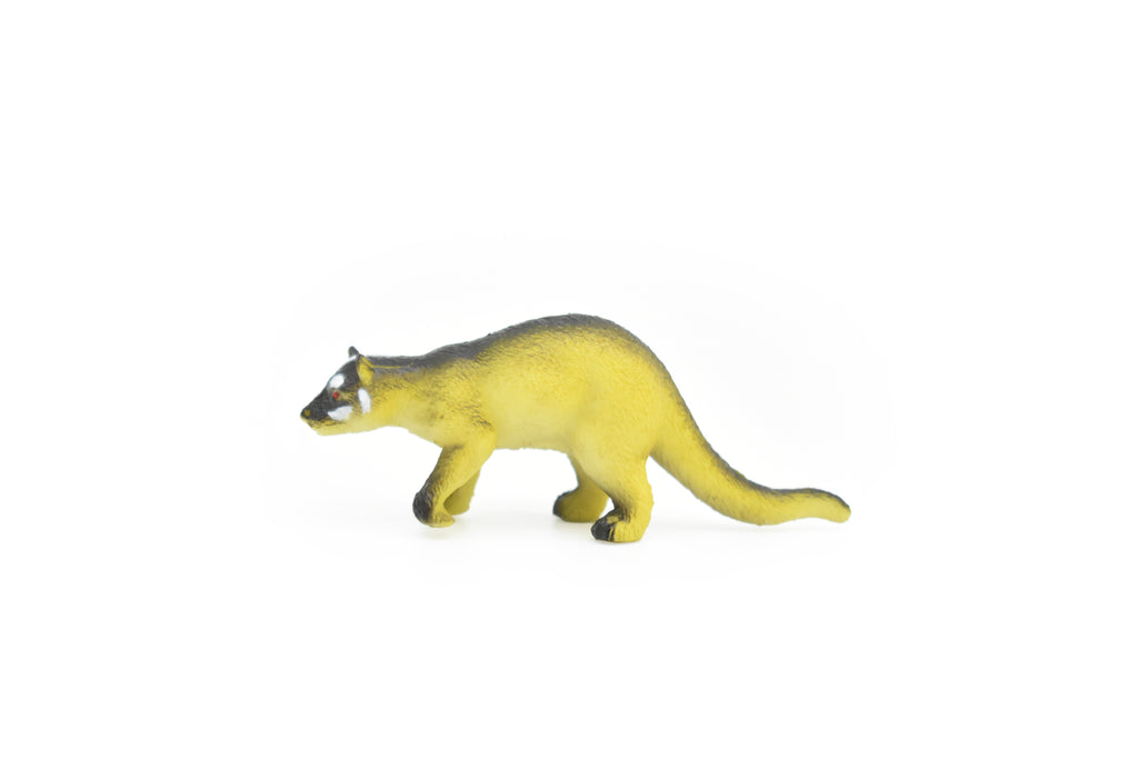 Coati, White Nose, Coatimundi, (Nasua narica), Very Nice Plastic Animal, Hand Painted, Educational, Figure, Lifelike, Diorama Model, Replica, Toy, Kids, Gift,   2 1/2 Inches.   CWG132 B238