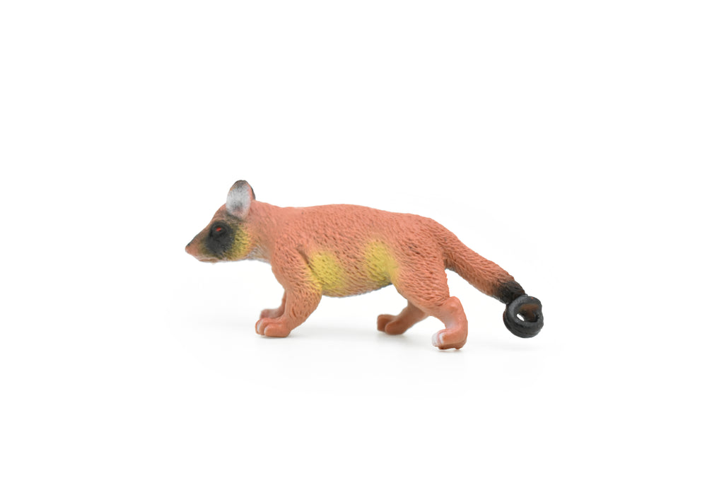 Brazilian aardvark, Coatimundi, Coati, Very Nice Plastic Design, Animal Figure, Educational, Figure, Lifelike, Diorama Model, Replica, Toy, Kids, Gift,   2 1/2 Inches.    CWG133 B238
