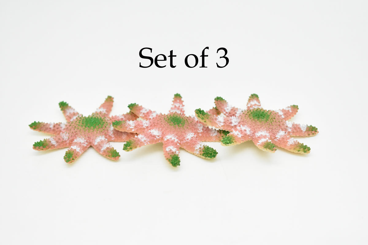 Sunflower Sea Star, Starfish, Echinoderms, Hand Painted, Realistic, Solid Rubber, Saltwater, Educational Model, Figure, Lifelike, Diorama Model, Toy, Gift,   2 3/4 Inches.    CWG141 BB28