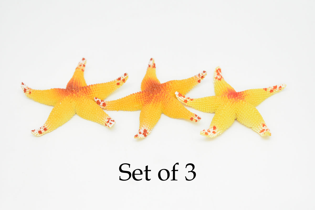 Starfish, Orange, Asterias rubens, Hand Painted, Realistic, Solid Rubber, Saltwater, Educational Model, Figure, Lifelike, Diorama Model, Toy, Gift,   2 1/2 Inches.   CWG142 BB28