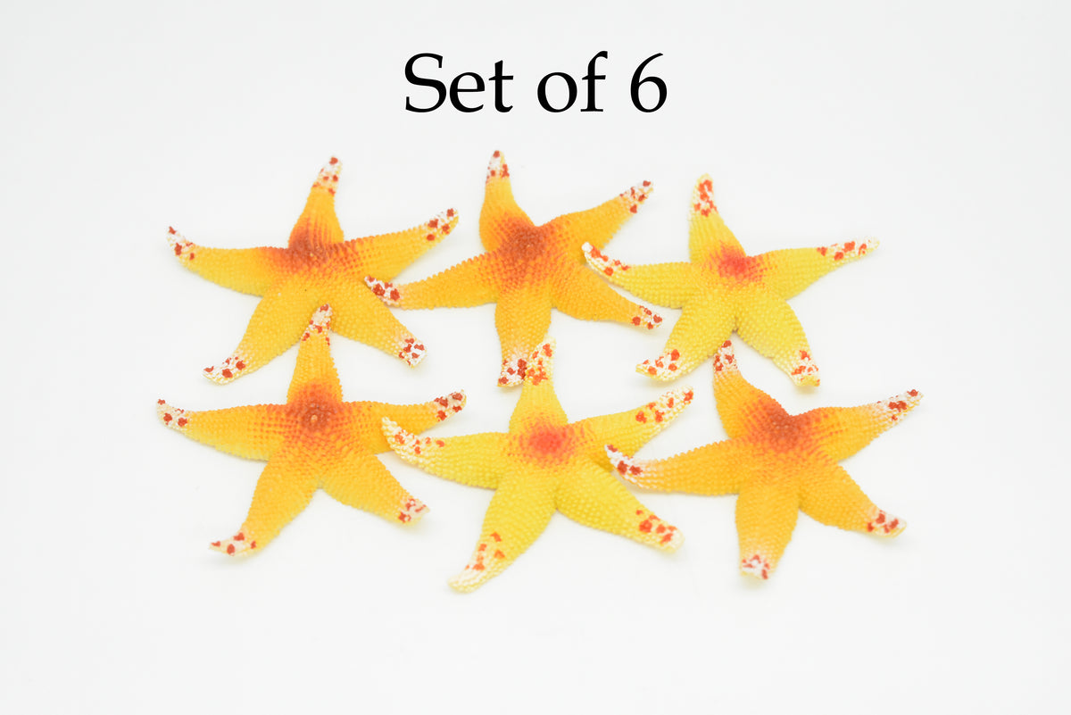 Starfish, Orange, Asterias rubens, Hand Painted, Realistic, Solid Rubber, Saltwater, Educational Model, Figure, Lifelike, Diorama Model, Toy, Gift,   2 1/2 Inches.   CWG142 BB28