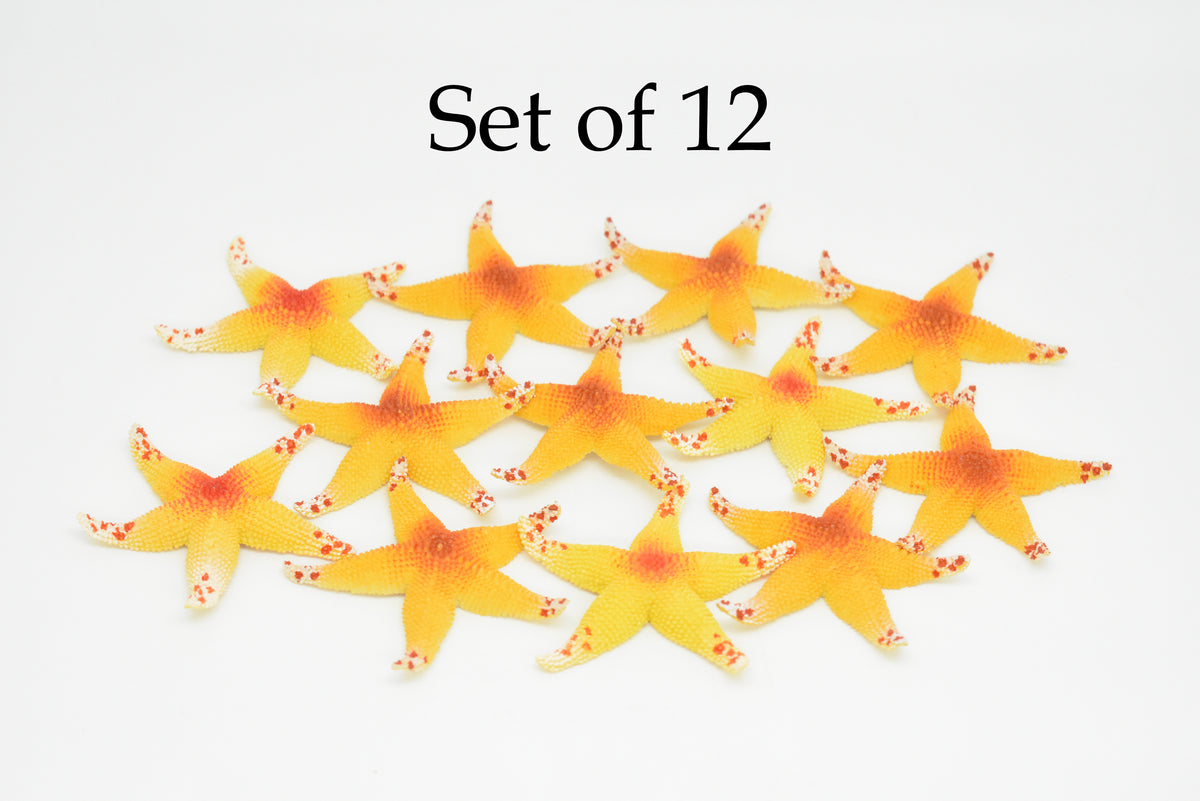 Starfish, Orange, Asterias rubens, Hand Painted, Realistic, Solid Rubber, Saltwater, Educational Model, Figure, Lifelike, Diorama Model, Toy, Gift,   2 1/2 Inches.   CWG142 BB28
