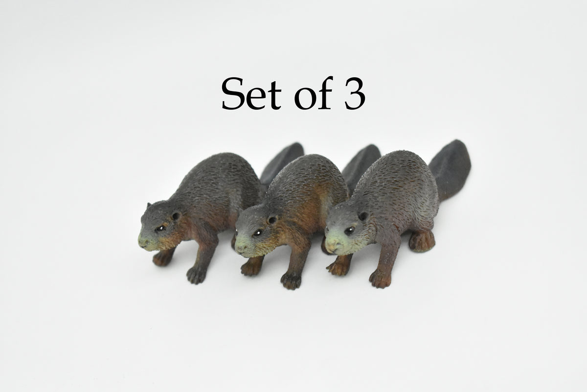 Beaver, Castor, North American beaver, Very Nice Plastic Animal Figure, Model, Figurine, Educational, Animal, Toy, Kids, Gift,   2 1/2"   CWG102 B237