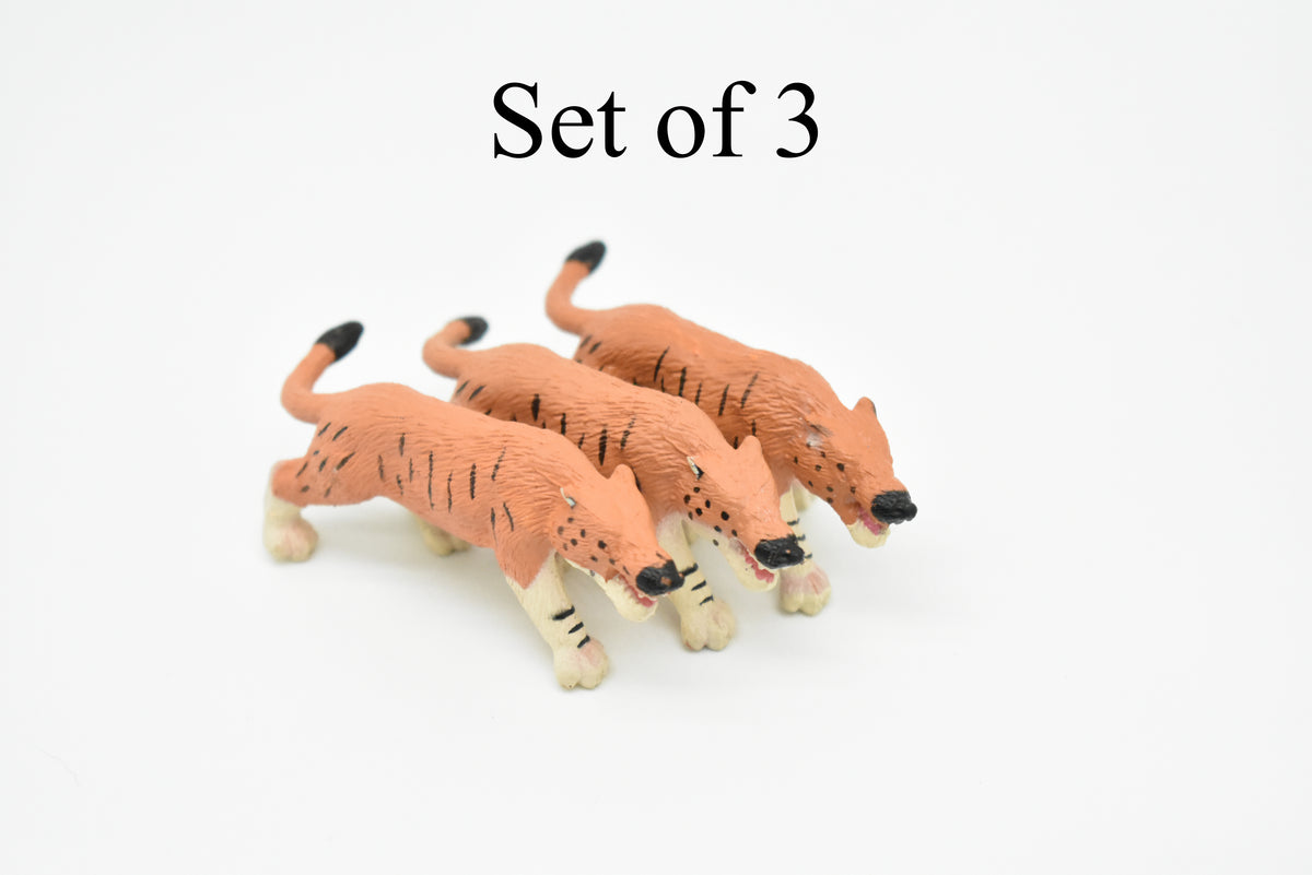 Andrewsarchus, Ancient Mammal, Educational, Realistic, Diorama Figure, Lifelike Rubber Model, Gift,   2 1/2 Inches.    F3138 B224
