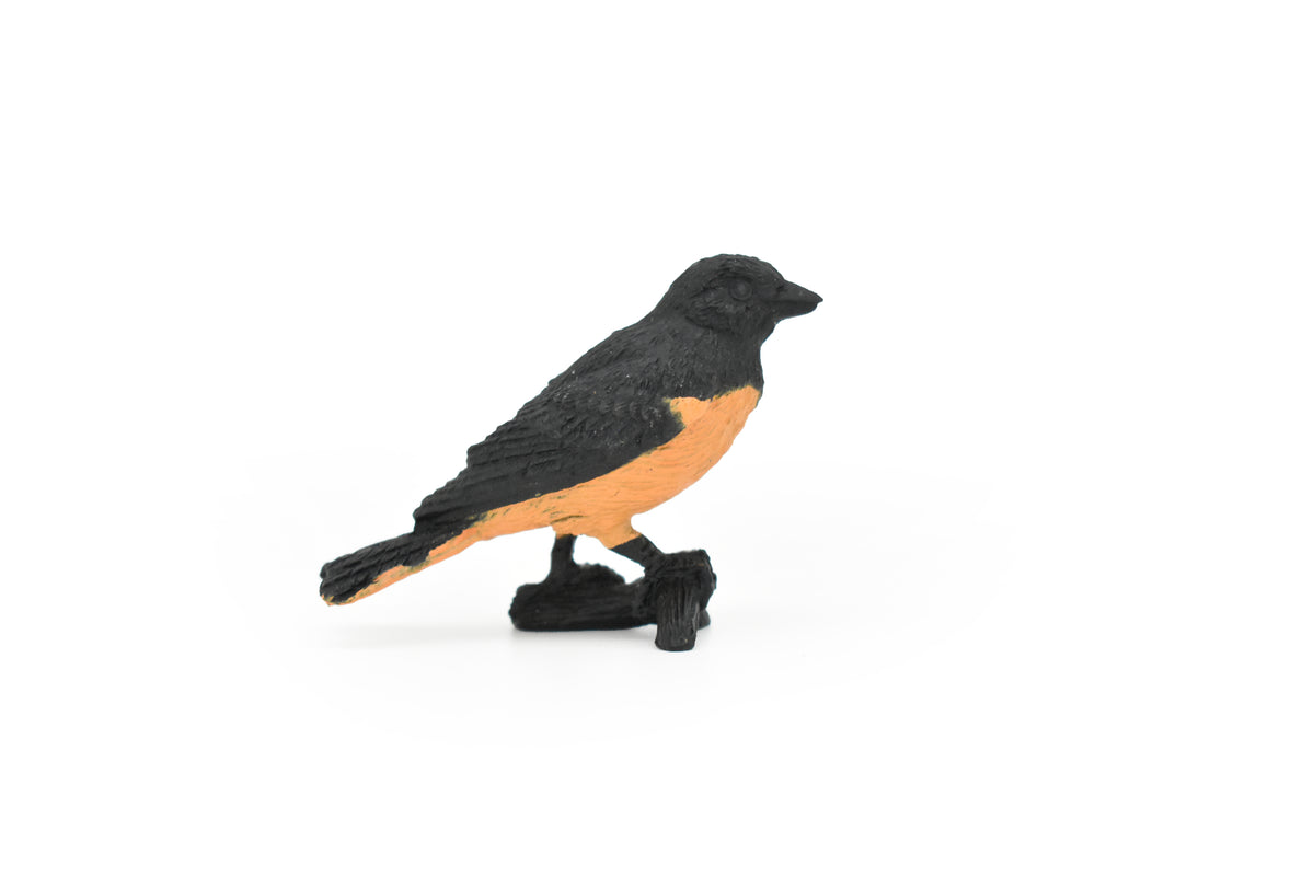 Oriole, Baltimore, Rubber Bird, Educational, Realistic, Hand Painted, Figure, Lifelike Model, Figurine, Replica, Gift,      2"     F3392 B27