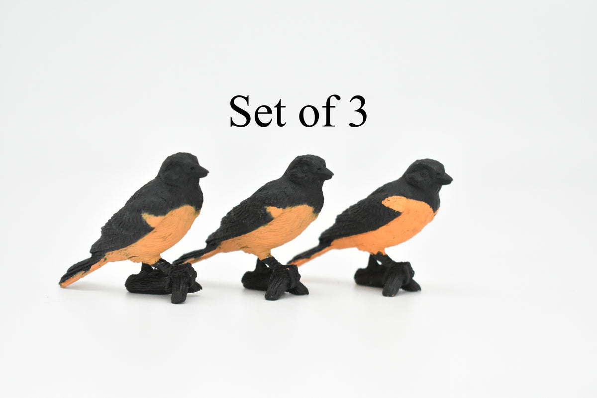 Oriole, Baltimore, Rubber Bird, Educational, Realistic, Hand Painted, Figure, Lifelike Model, Figurine, Replica, Gift,      2"     F3392 B27