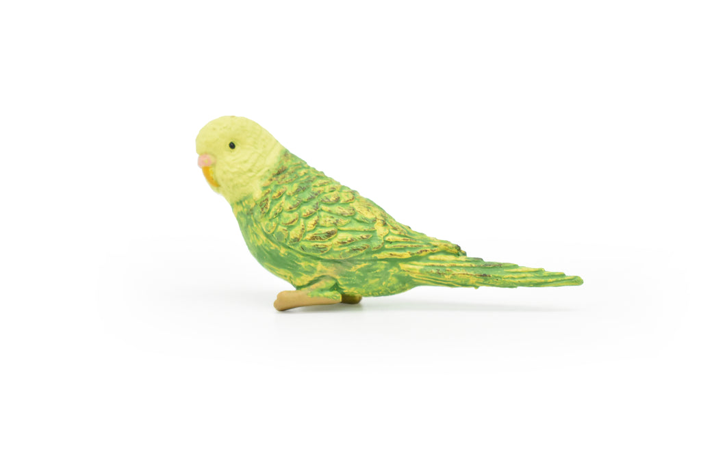 Parakeet, Green, Very Nice Rubber Bird, Educational, Realistic, Hand Painted, Figure, Lifelike Model, Gift,     2 1/2"    F1669 B63
