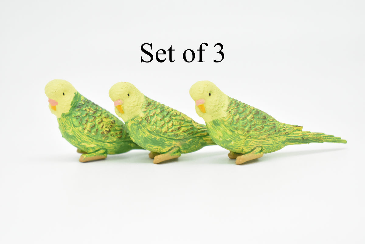 Parakeet, Green, Very Nice Rubber Bird, Educational, Realistic, Hand Painted, Figure, Lifelike Model, Gift,     2 1/2"    F1669 B63