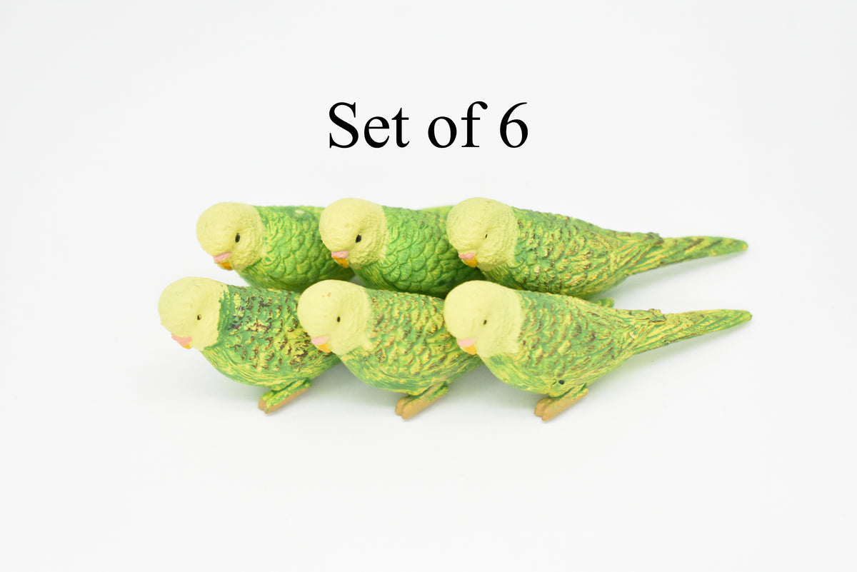 Parakeet, Green, Very Nice Rubber Bird, Educational, Realistic, Hand Painted, Figure, Lifelike Model, Gift,     2 1/2"    F1669 B63