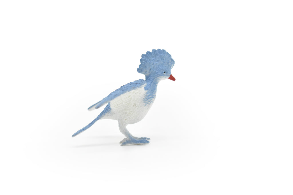 Pigeon, Victoria, Crested,  Bird, Very Nice Rubber Reproduction,   2 1/2"    F615 B124