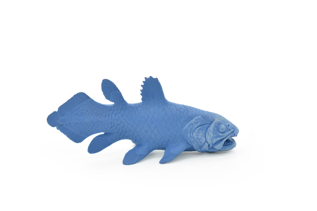 Coelacanth, Fish, Saltwater Fish, Rubber Fish, Hand Painted, Realistic, Figure, Model, Replica, Toy, Kids, Educational, Gift,     3"    F4233 B376