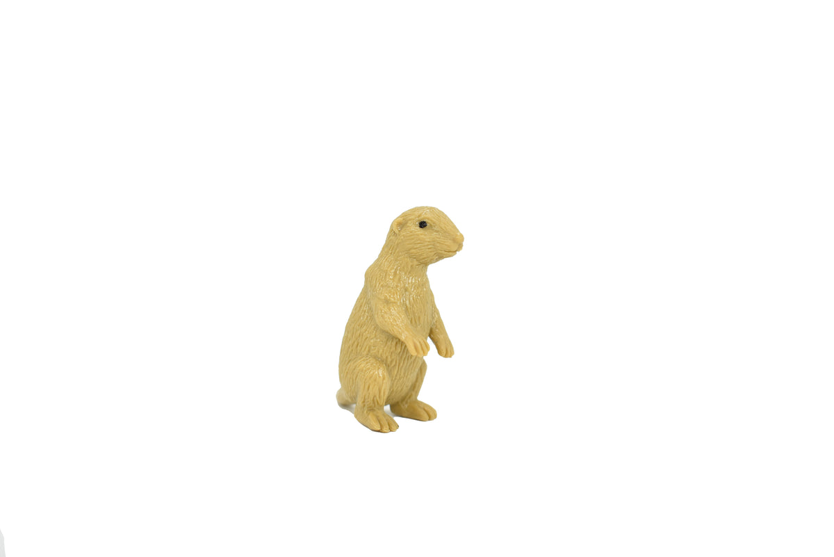 Otter, River, Very Nice Plastic Animal, Educational, Toy, Kids, Realistic Figure, Lifelike Model, Figurine, Replica, Gift    5"    F6007 B377