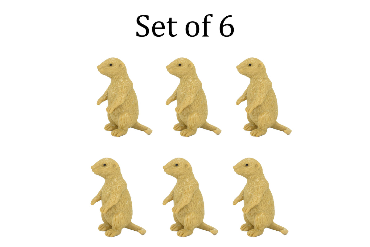 Otter, River, Very Nice Plastic Animal, Educational, Toy, Kids, Realistic Figure, Lifelike Model, Figurine, Replica, Gift    5"    F6007 B377