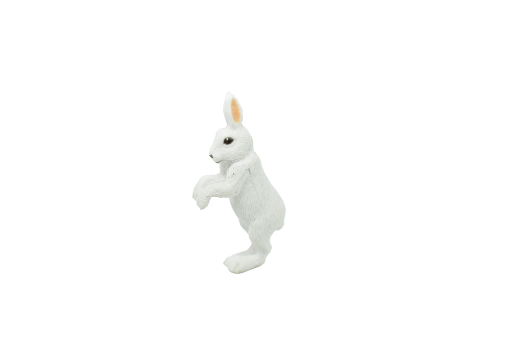Arctic Hare, Rabbit, Very Nice Plastic Animal, Educational, Realistic Figure, Lifelike Model, Figurine, Replica, Gift,    2"    F3501 B67