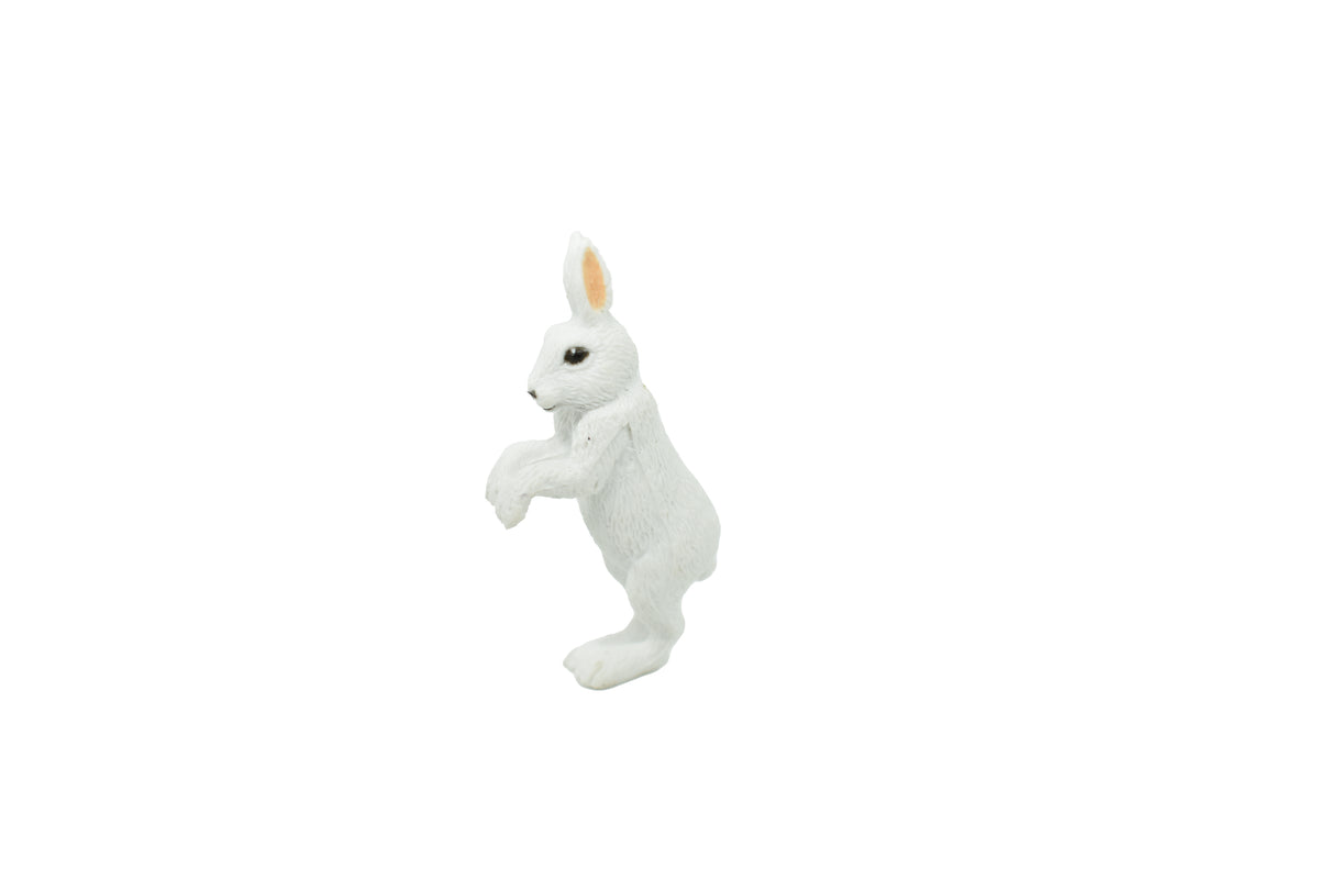 Arctic Hare, Rabbit, Very Nice Plastic Animal, Educational, Realistic Figure, Lifelike Model, Figurine, Replica, Gift,    2"    F3501 B67