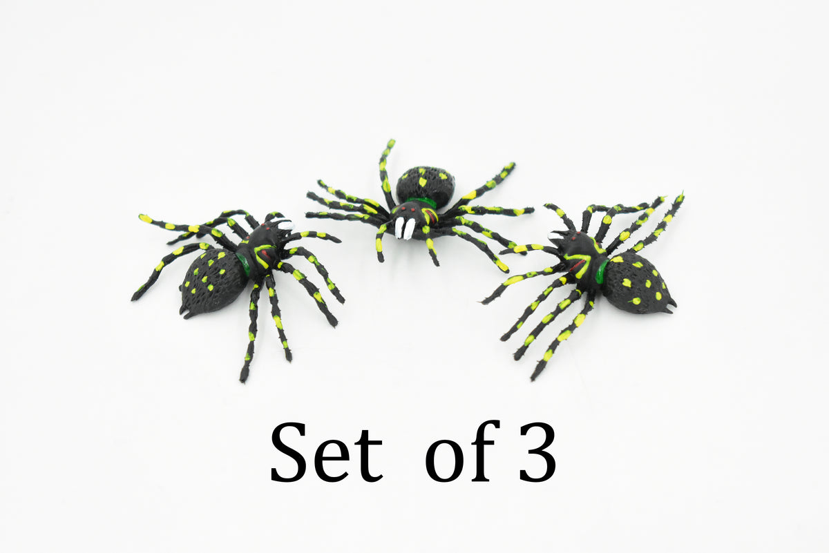 Spider, Garden Spider, Rubber Insect, Realistic Figure, Model, Replica, Kids Educational Gift,      2 1/2"     F2079 B142